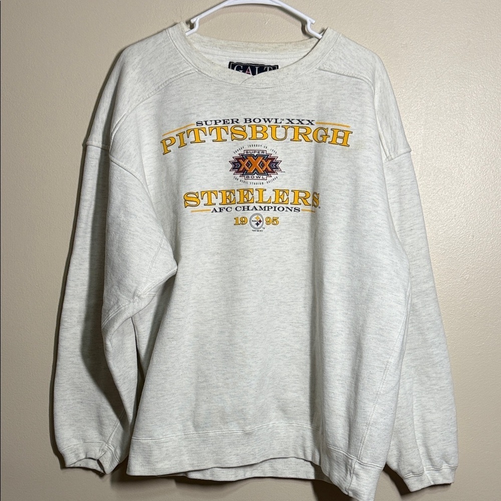 Vintage Pittsburgh Steelers 1995 Super Bowl XXX Champion Size Large - Picture 1 of 3
